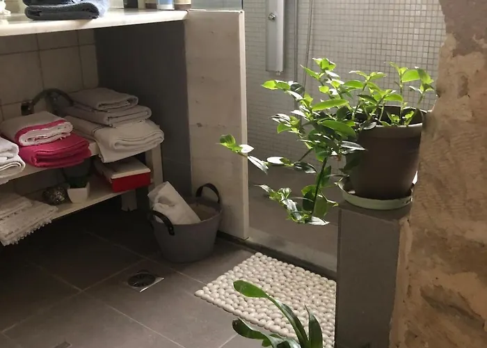 Stone In The Center Of Проживание в семье *